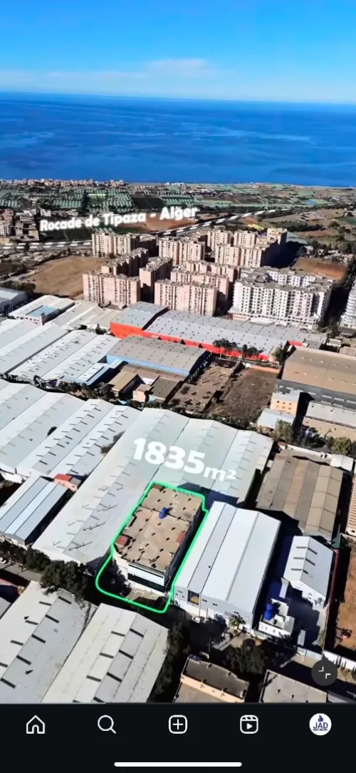 Vente Hangar - Usine Tipaza Bou ismail