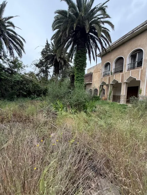 Vente Terrain Alger El biar 7