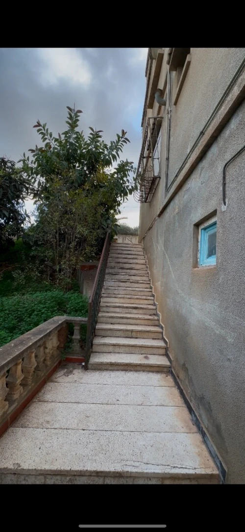 Vente Terrain Alger Draria
