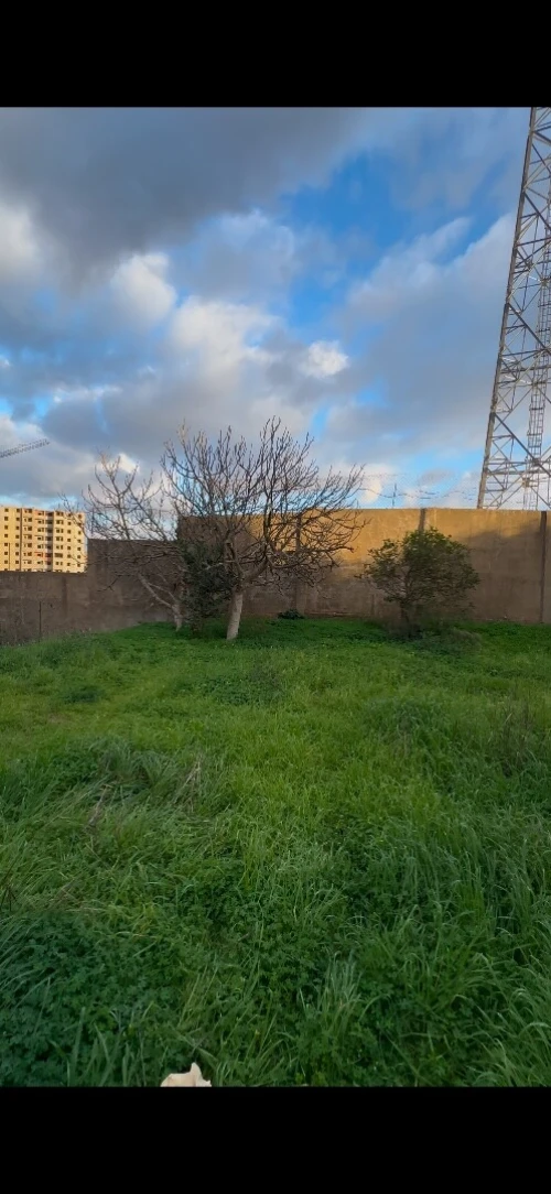 Vente Terrain Alger Draria