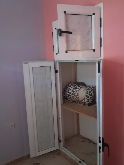 Vente Appartement F4 Tiaret Tiaret 2