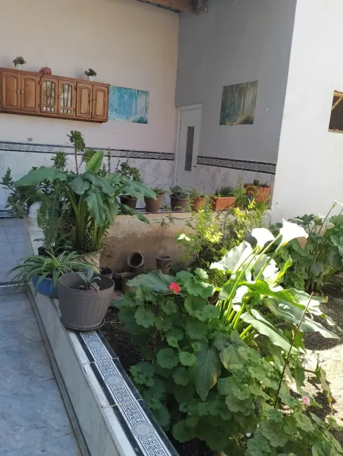 Vente Villa Oran Ben freha
