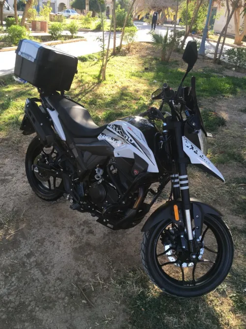 Cyclone RX1 RK200 2021