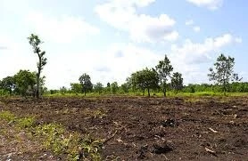 Vente Terrain Agricole Tizi Ouzou Aghrib