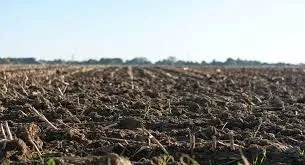 Vente Terrain Agricole Tizi Ouzou Aghrib