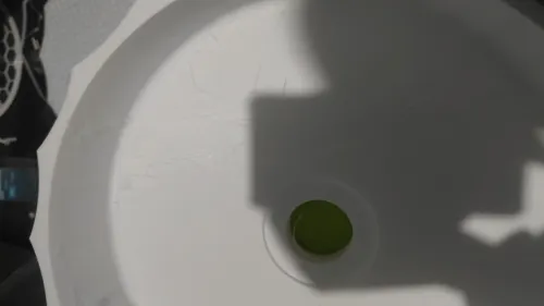 Conception et impression 3d 