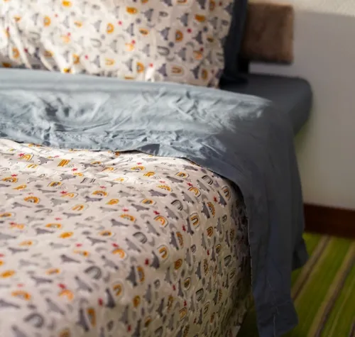 Parure de draps pour enfants Qualité supérieure douceur garantie une place
