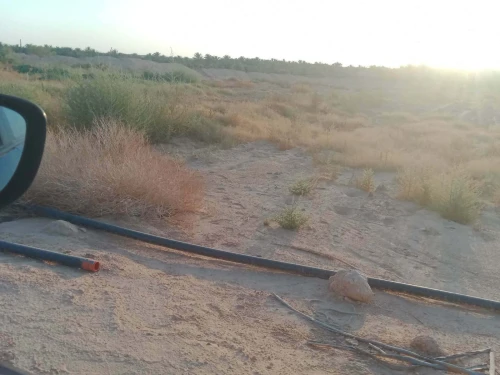 Vente Terrain Agricole Ouargla Ain beida