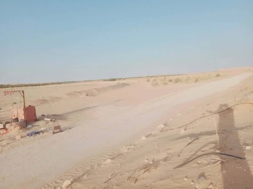 Vente Terrain Agricole Ouargla Ain beida