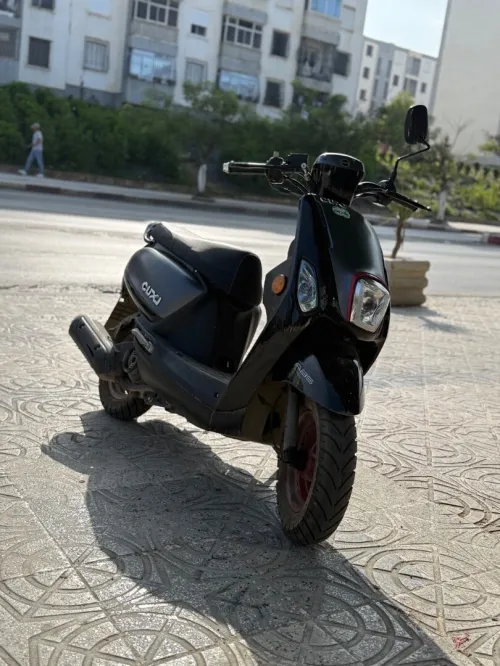 Coxi 2 2024
