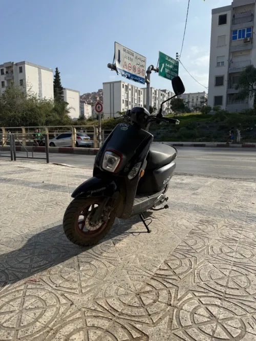 Coxi 2 2024