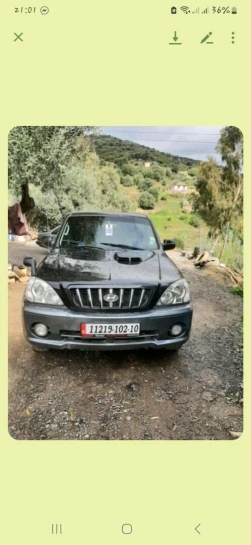 Hyundai Teracan 2002 