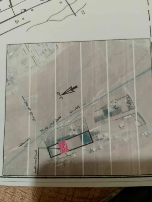Vente Terrain Sétif Ain azel