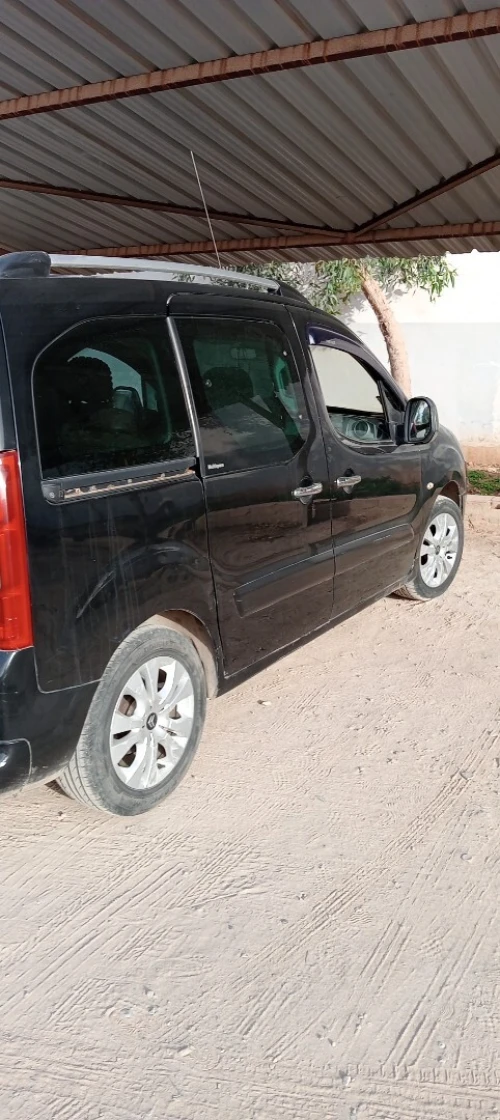 Citroen Berlingo 2010 Berlingo