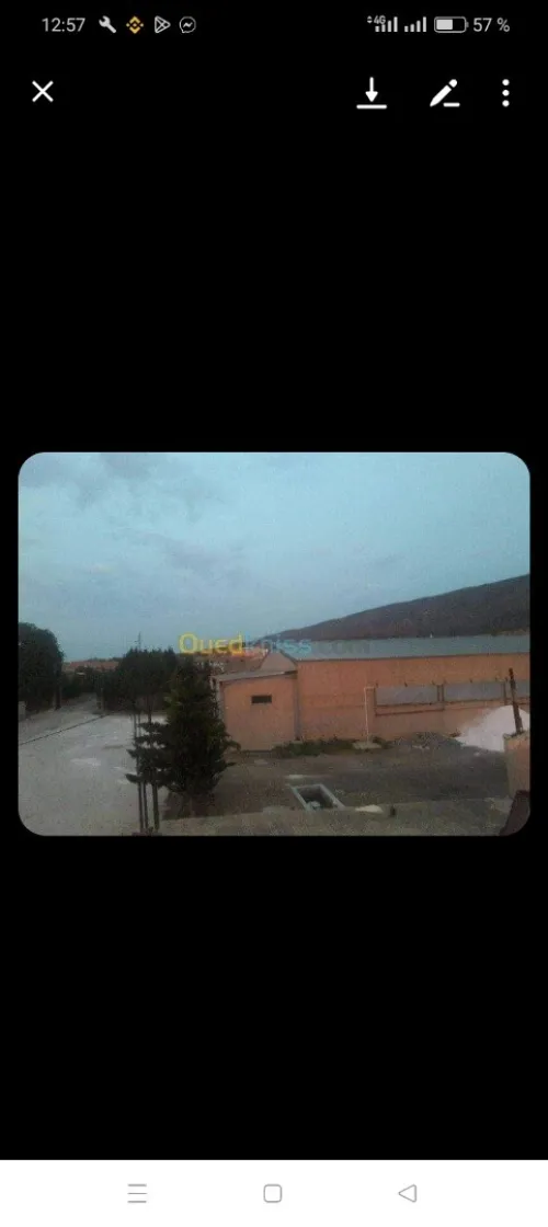 Location Hangar Batna Fesdis