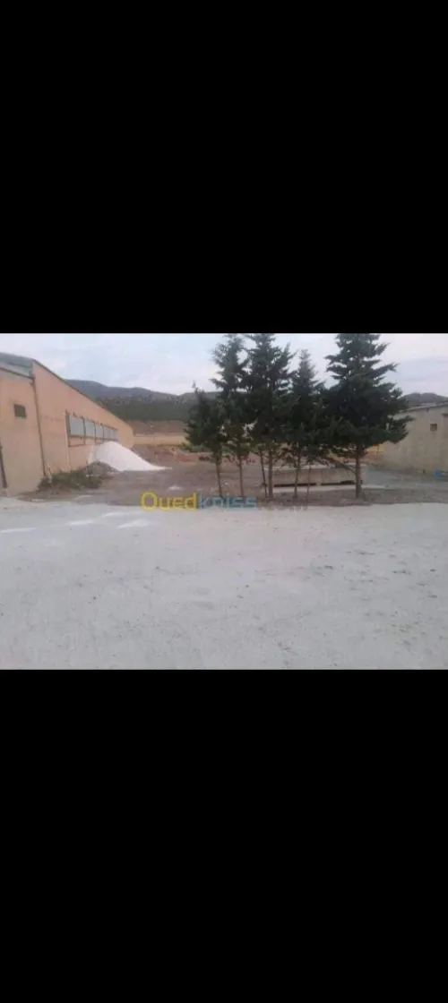 Location Hangar Batna Fesdis