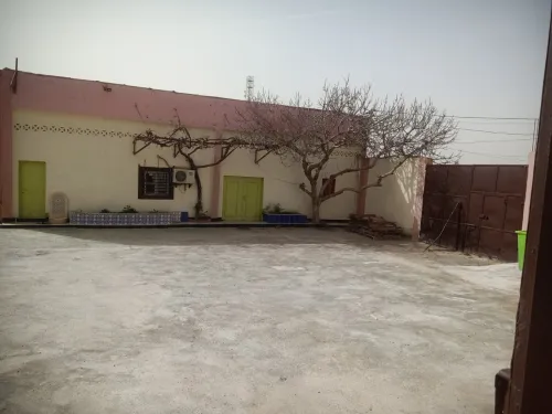 Location Hangar Saïda Saida
