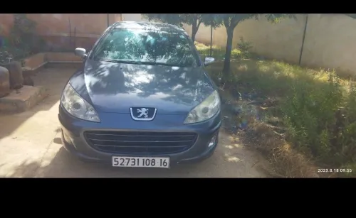 Peugeot 407 2008 407