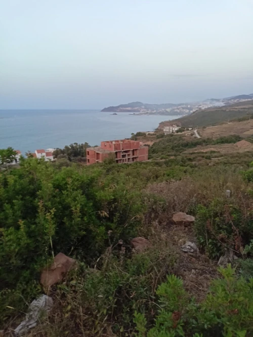 Vente Terrain Tizi Ouzou Tigzirt