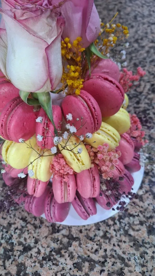 Macarons 