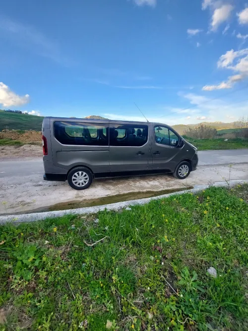 Reneault Trafic 2019