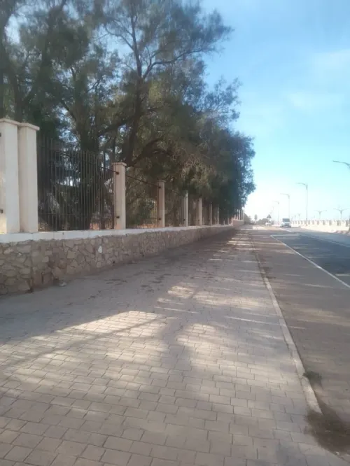 Vente Terrain Mostaganem Mostaganem