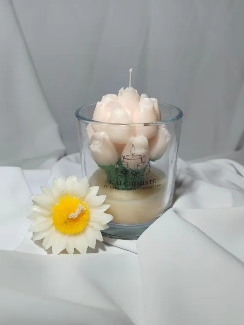 Bougies parfumé 