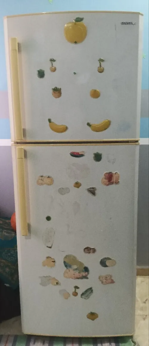 Refrigirateure