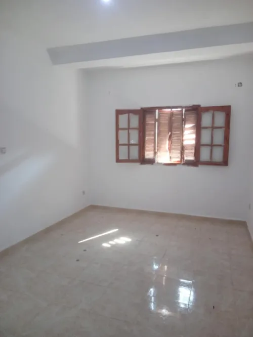 Location Alger Les eucalyptus