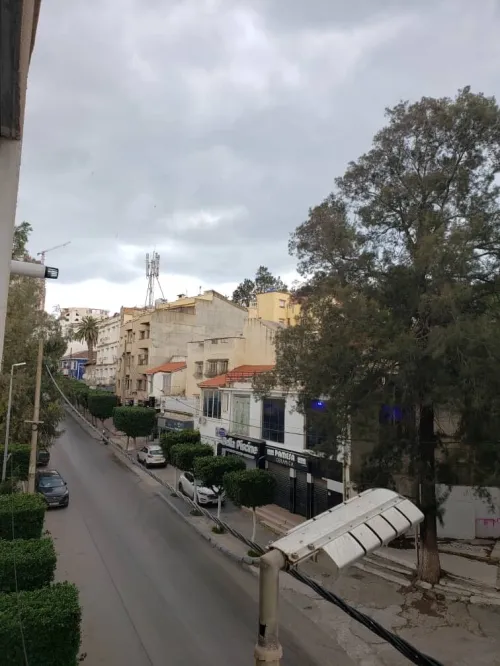 Location Appartement F3 Alger Dely brahim