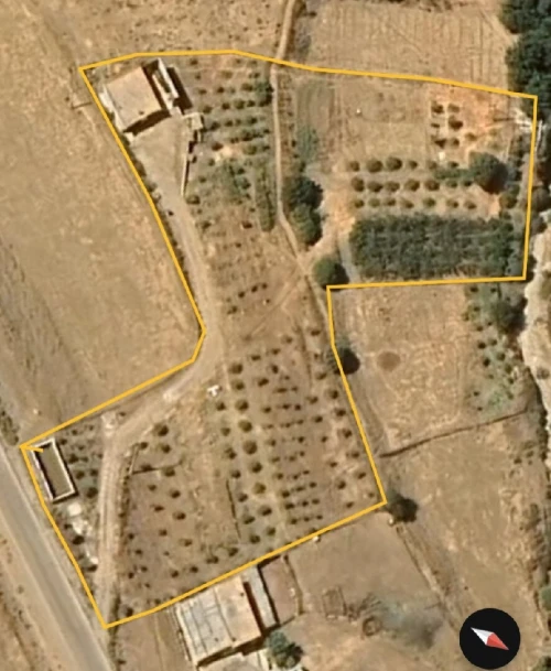 Vente Terrain Agricole Khenchela Tamza