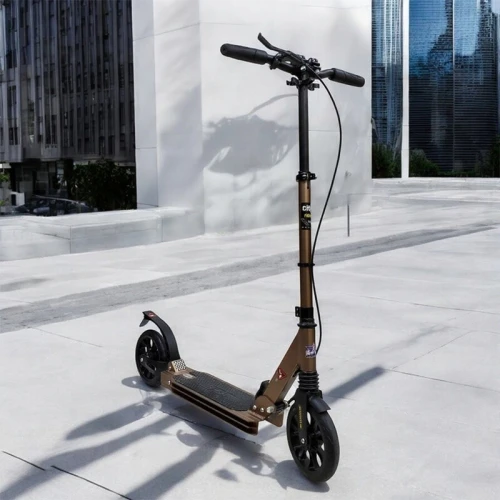 Trottinette Pliable Grandes Roues Pour Adultes