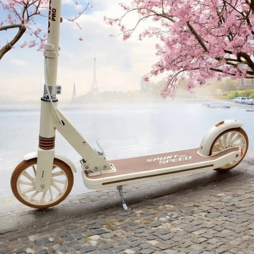 Trottinette pour adults