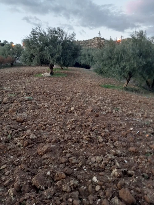 Vente Terrain Béjaïa Boudjellil