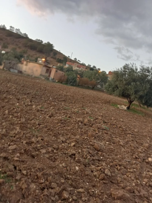 Vente Terrain Béjaïa Boudjellil