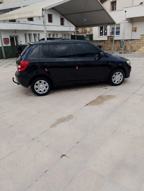 Skoda Fabia 2015 Visage