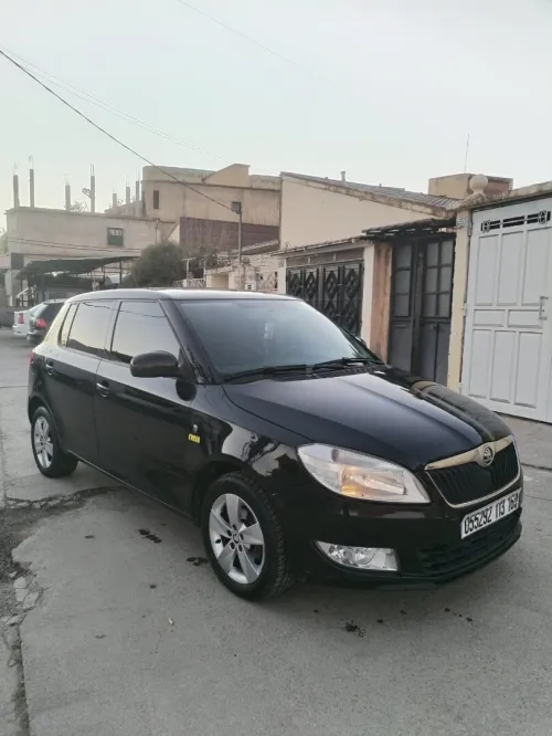 Skoda Fabia 2013 Fresh