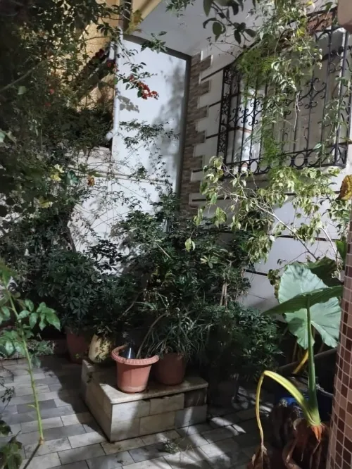 Location Villa Alger Ain taya