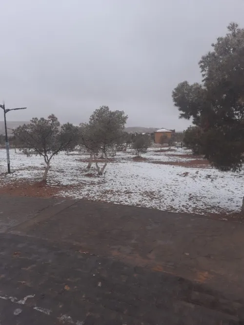 Vente Terrain Agricole El Bayadh El bayadh