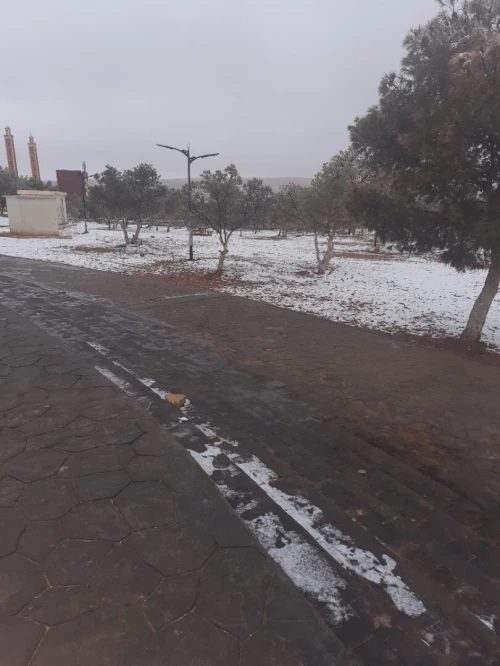 Vente Terrain Agricole El Bayadh El bayadh