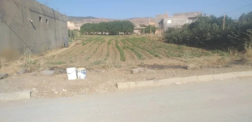 Vente Terrain Bordj Bou Arreridj Ghilassa