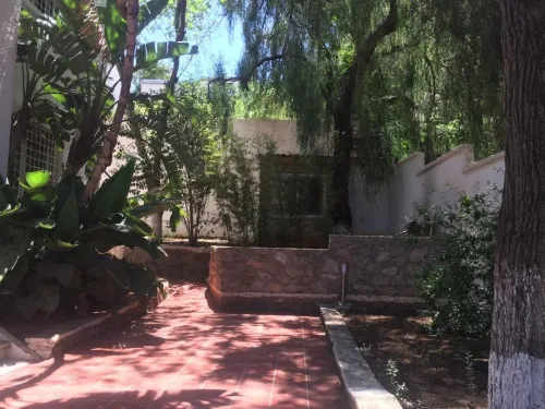 Vente Villa Alger Zeralda