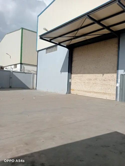 Location Hangar - Usine Tipaza Kolea