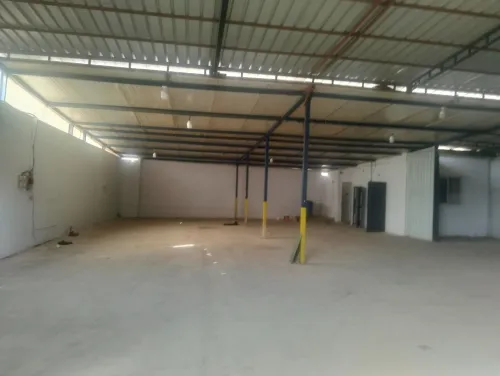 Location Hangar - Usine Alger Les eucalyptus