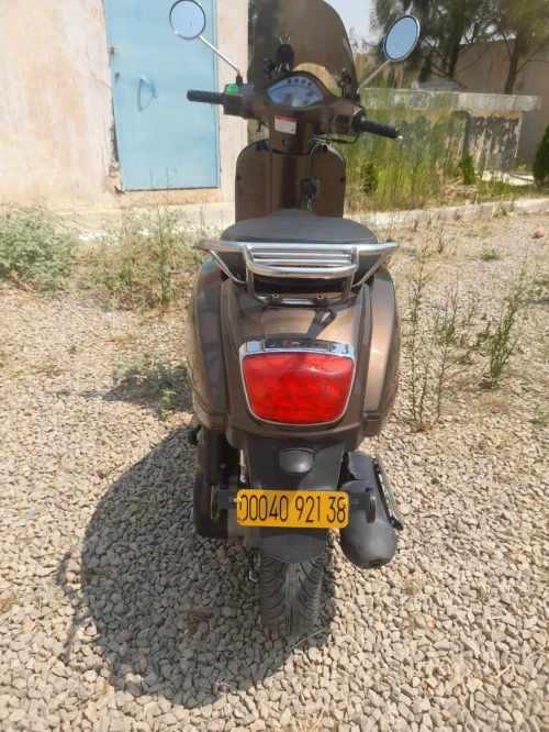 SAM Sam classic 2021