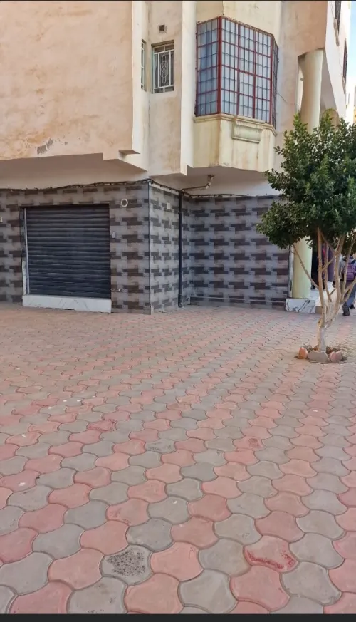 Vente Local Sidi Bel Abbès Sidi bel abbes