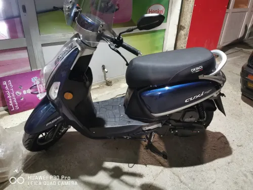 Okinoi Cuxi 2025