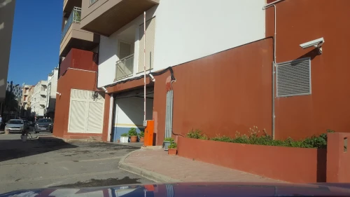 Porte automatique NICE