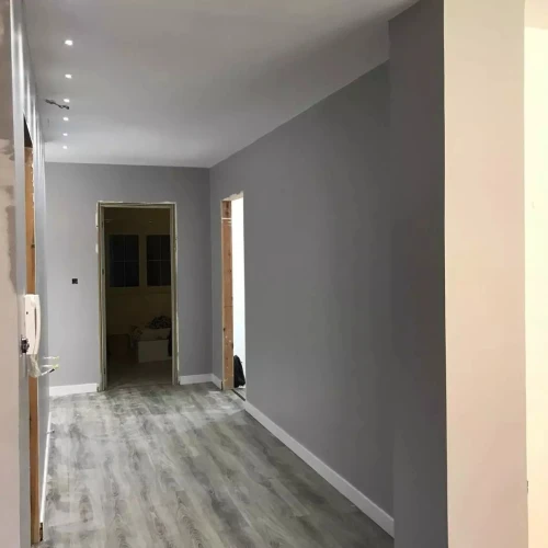 Revêtement Sol parquet stratifié et PVC 