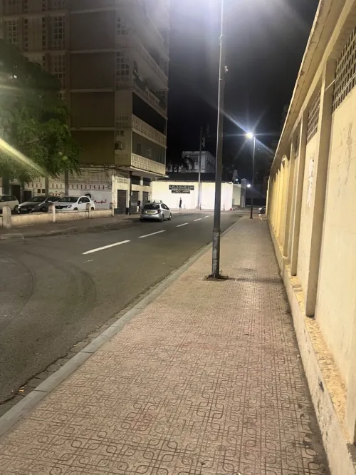 Location Local Alger Alger centre